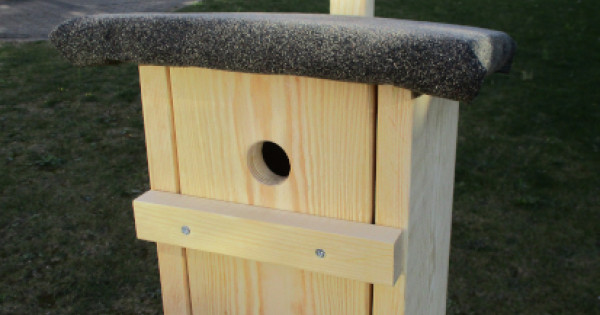 Nistkasten-Schnapsdrossel-uelzen